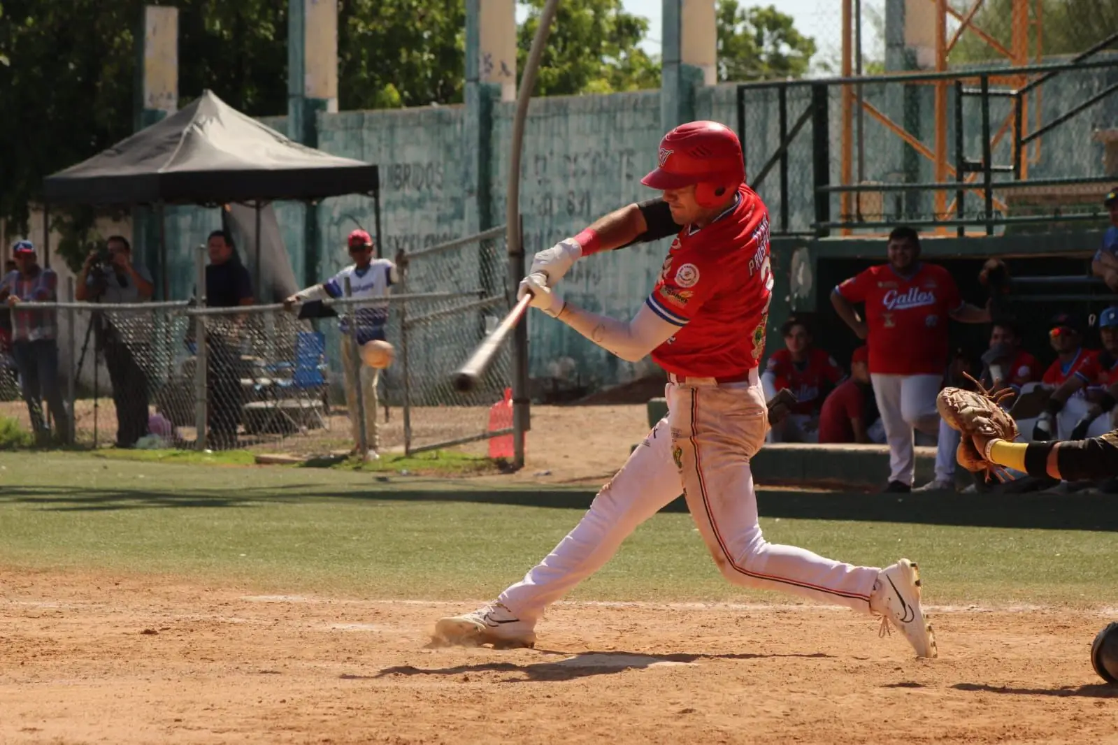 WhatsApp Image 2025-05-14 at 7.28.49 PM